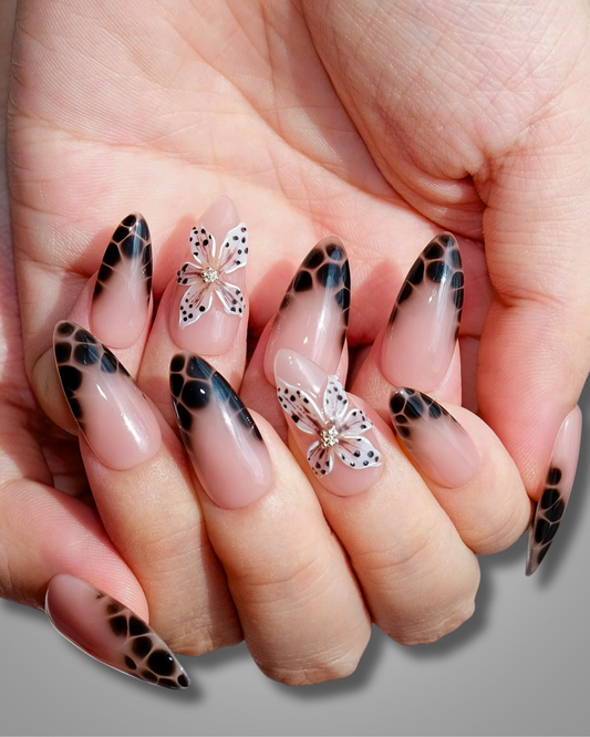 Leopard Love