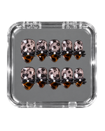Disco Leopard